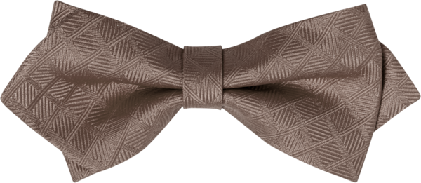 Monaco Biscotti Fancy Bow Tie (7260MFBSC)