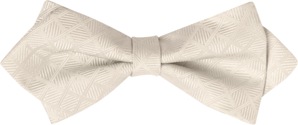 Ivory vest clearance and bow tie