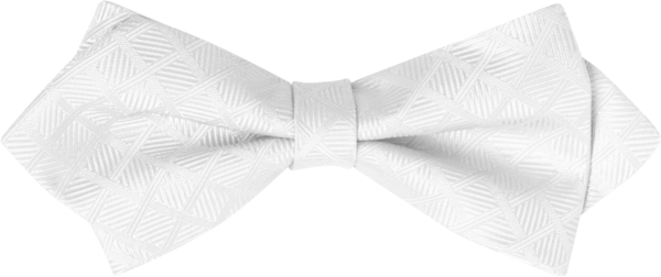Monaco White Fancy Bow Tie (7260MFWHT)