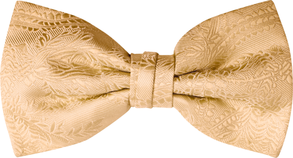 Gold vest and bow tie online