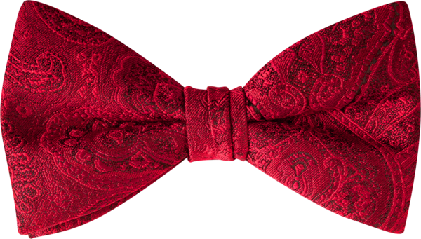 Wine Red Striped Silk Self-Tie Bow Tie