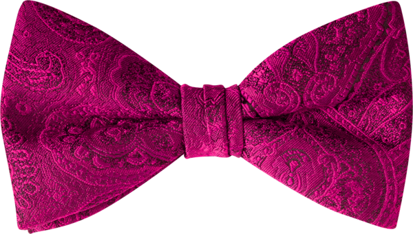 Duet Cassis Paisley Bow Tie (7460DPCAS)