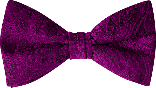 Duet Plum Paisley Bow Tie (7460DPPLM)