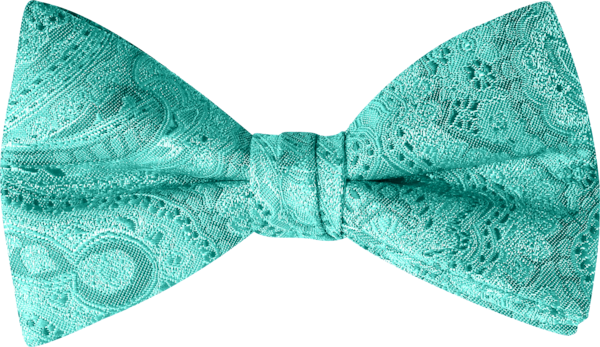 Duet Spa Paisley Bow Tie (7460DPSPA)